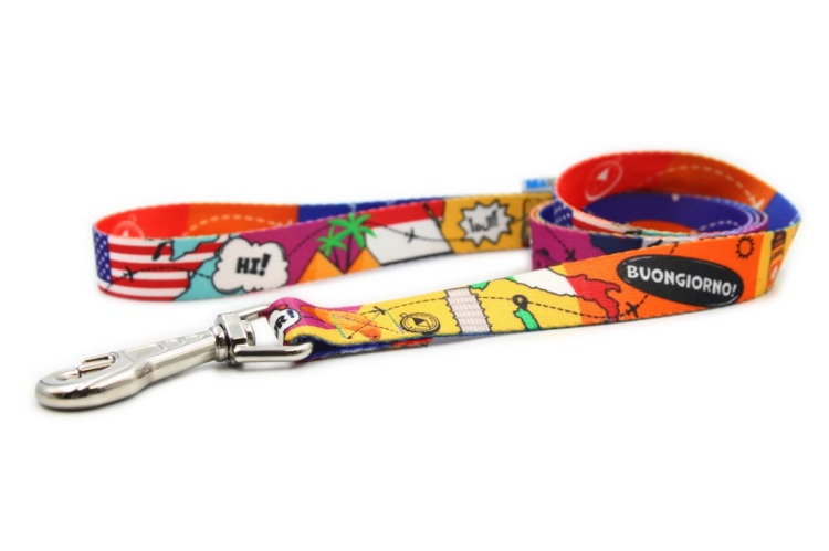 dog waterproof leash in travel theme