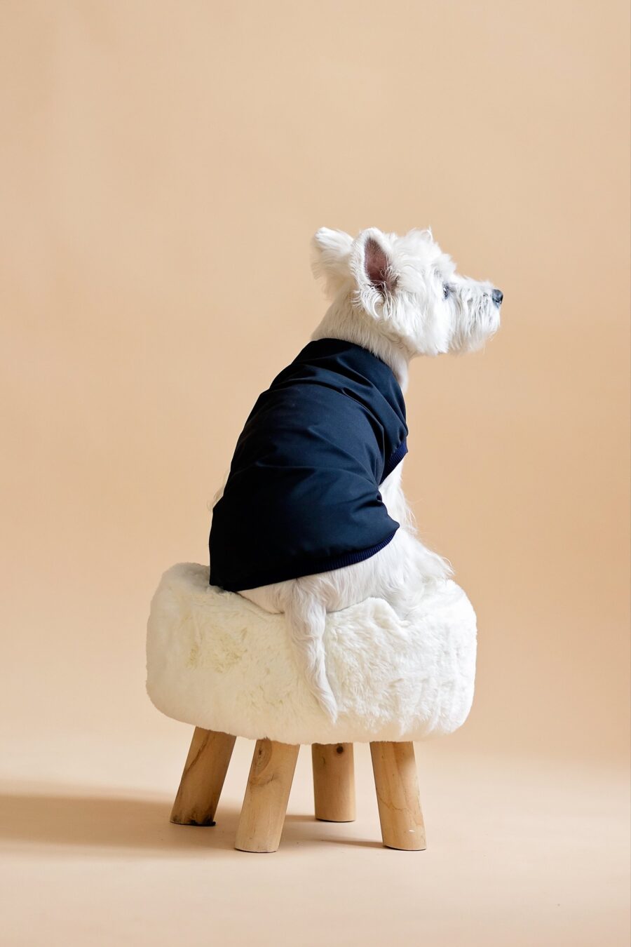 Black Dog Vest - Image 3