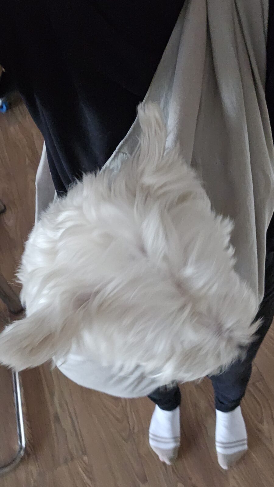 Senior Dog Sling - Image 12