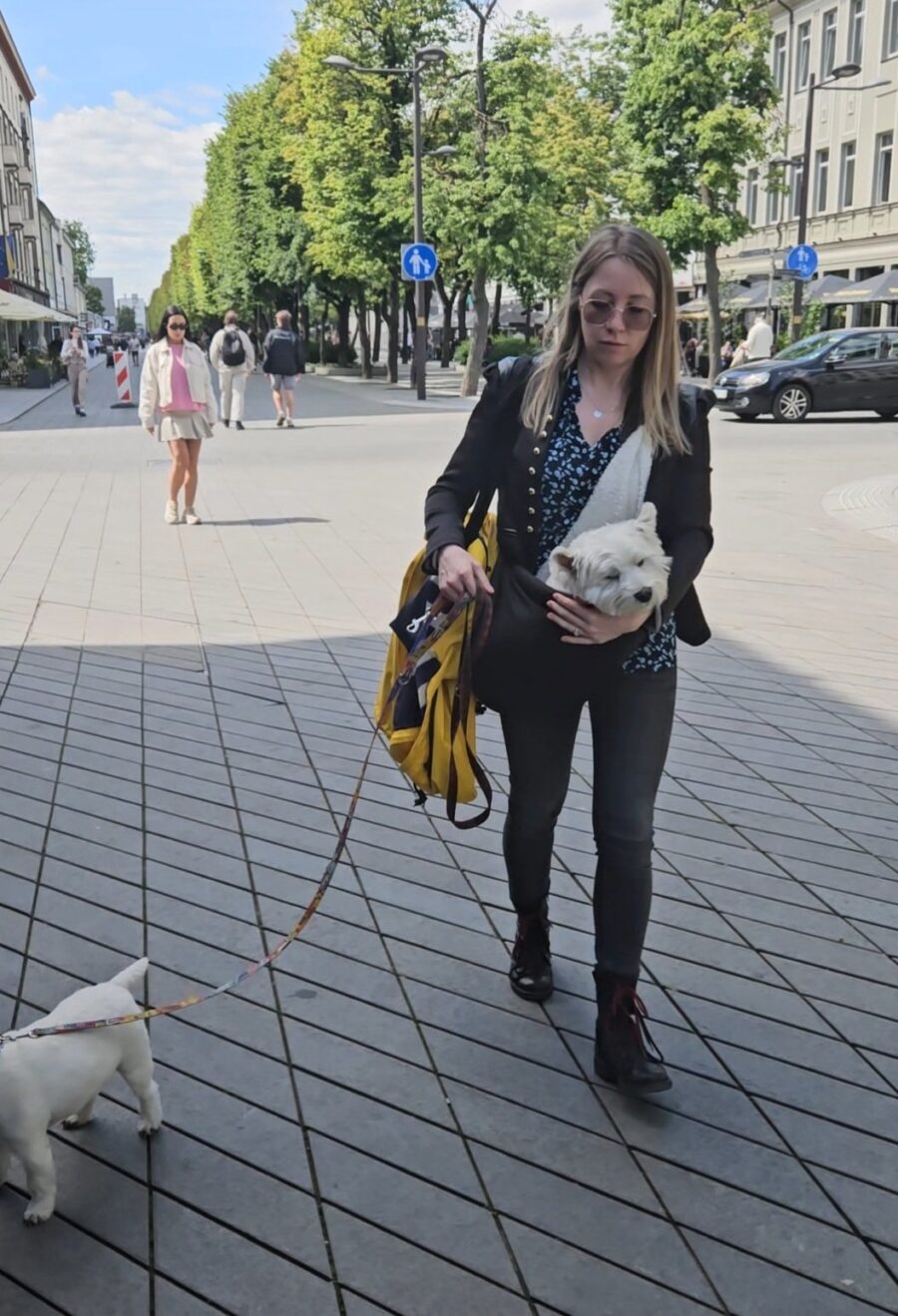 Senior Dog Sling - Image 6