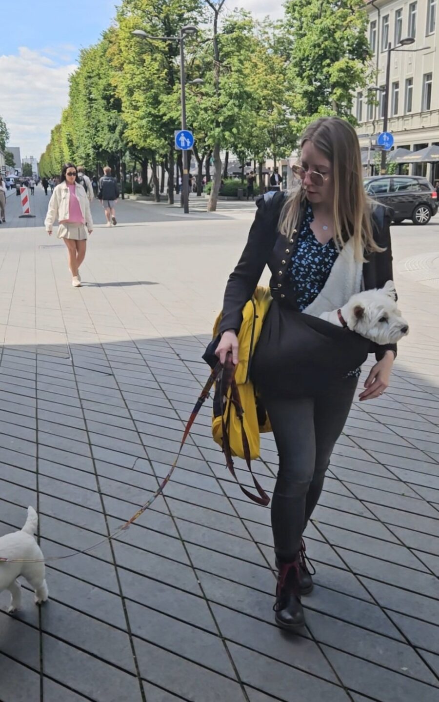 Senior Dog Sling - Image 2