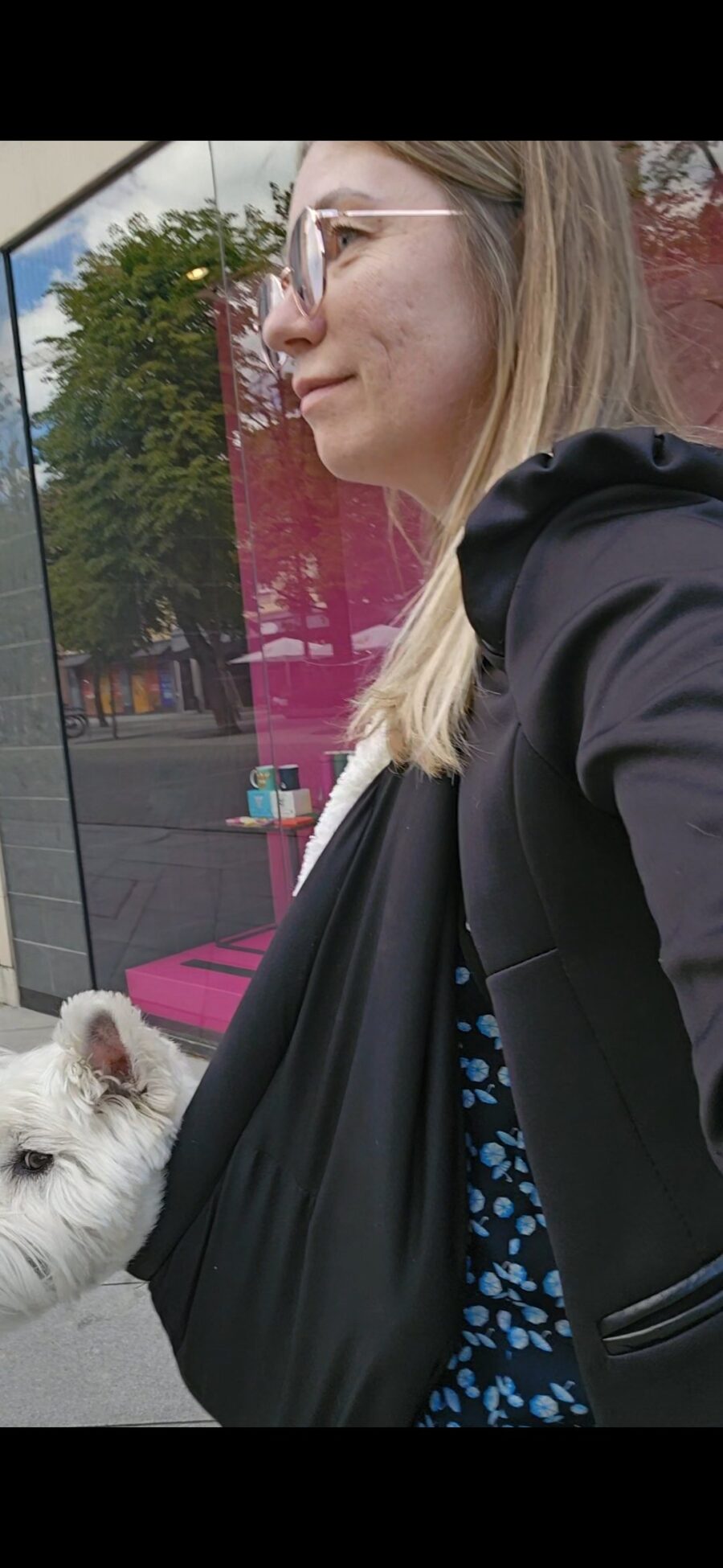 Senior Dog Sling - Image 10
