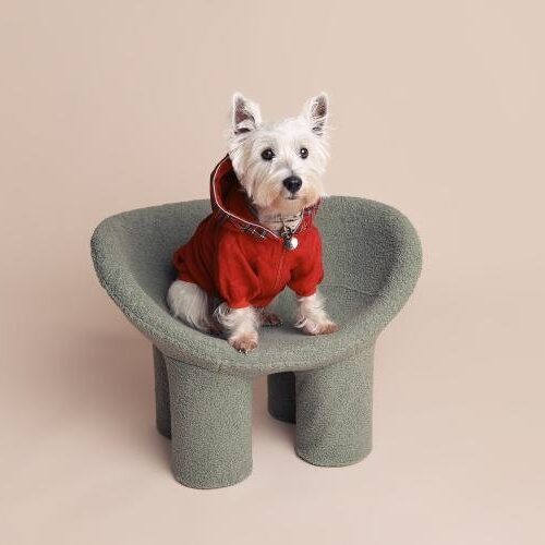 Red Dog Scottish Hoodie but Linen, for Summer