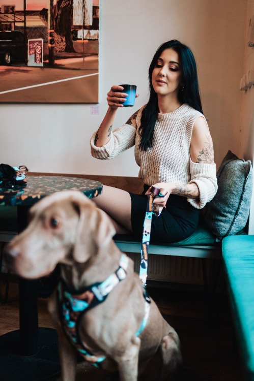 Coffe Leash for Your Small Dog