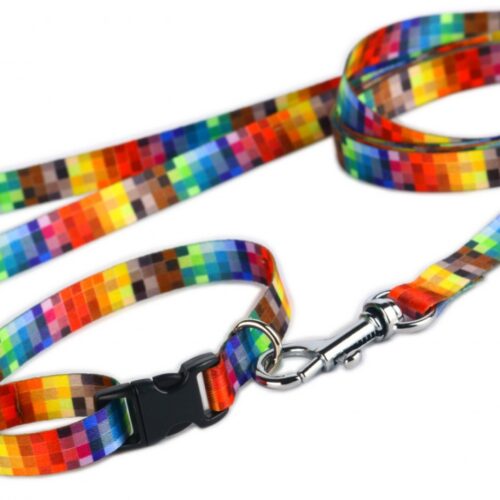 Colorful Adjustable Leash for Your Small Dog