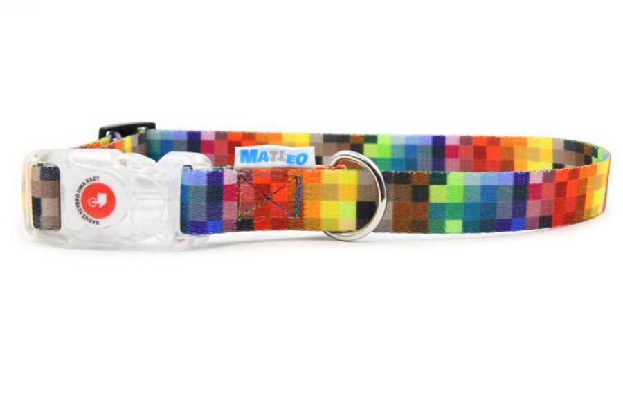 Colorful Collar for Your Small Dog (with LED) - Image 7