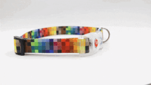 colorful collar for small dogs, best dog raincoats ciuciu