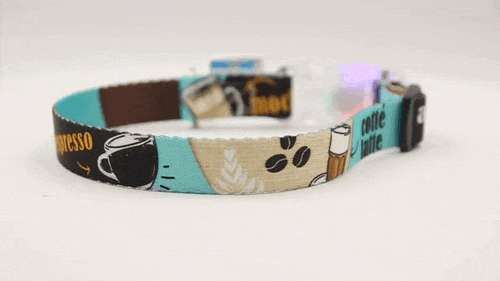 Coffe Collar for Your Small Dog (with LED)