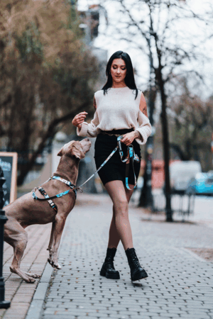 Coffe Adjustable Leash for Your Small Dog