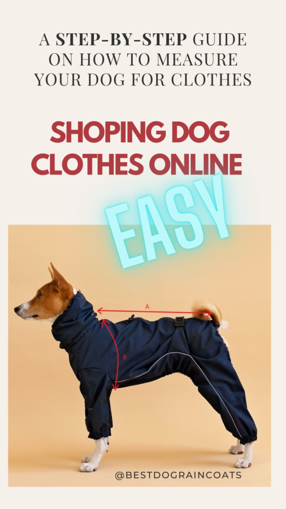 How to measure your dog for a coat best sale