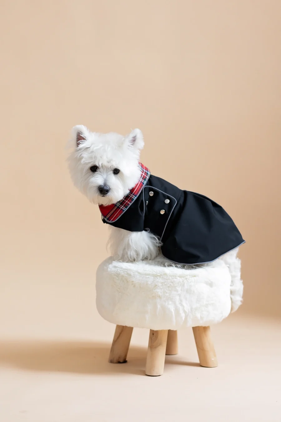 White dog sitting on fur chair wearing Waterproof Dog Coat-Dress With Plaid Hood or Collar