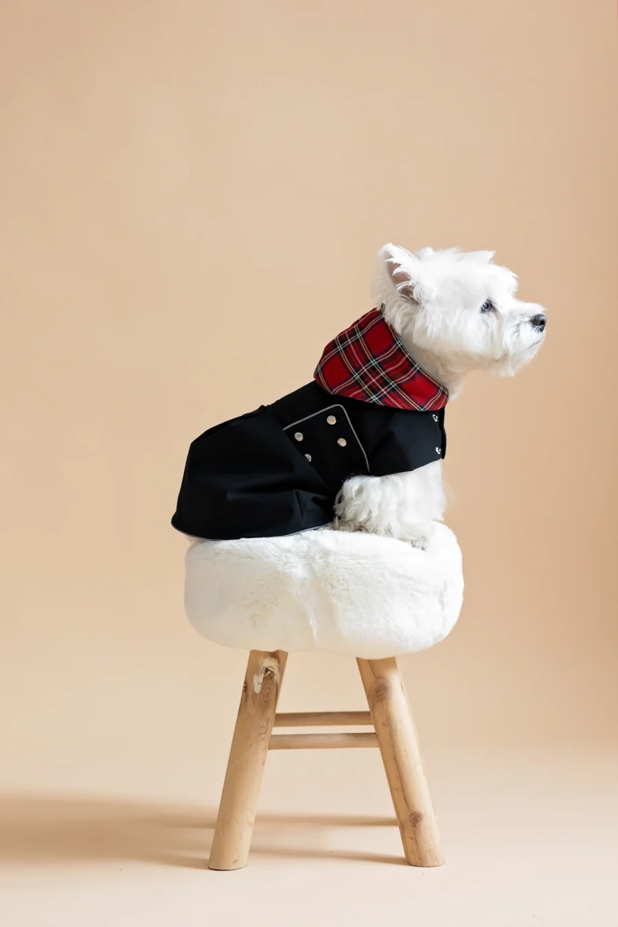 White dog sitting on fur chair wearing Waterproof Dog Coat-Dress With Plaid Hood or Collar