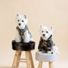 Camouflage Dog Vests - Image 7
