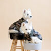 camouflage-dog-clothes-westie-vest-rainwear-for-dogs-ciuciu-bestdograincoats