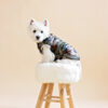 camouflage-dog-clothes-westie-vest-rainwear-for-dogs-ciuciu-bestdograincoats