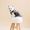 camouflage-dog-clothes-westie-vest-rainwear-for-dogs-ciuciu-bestdograincoats