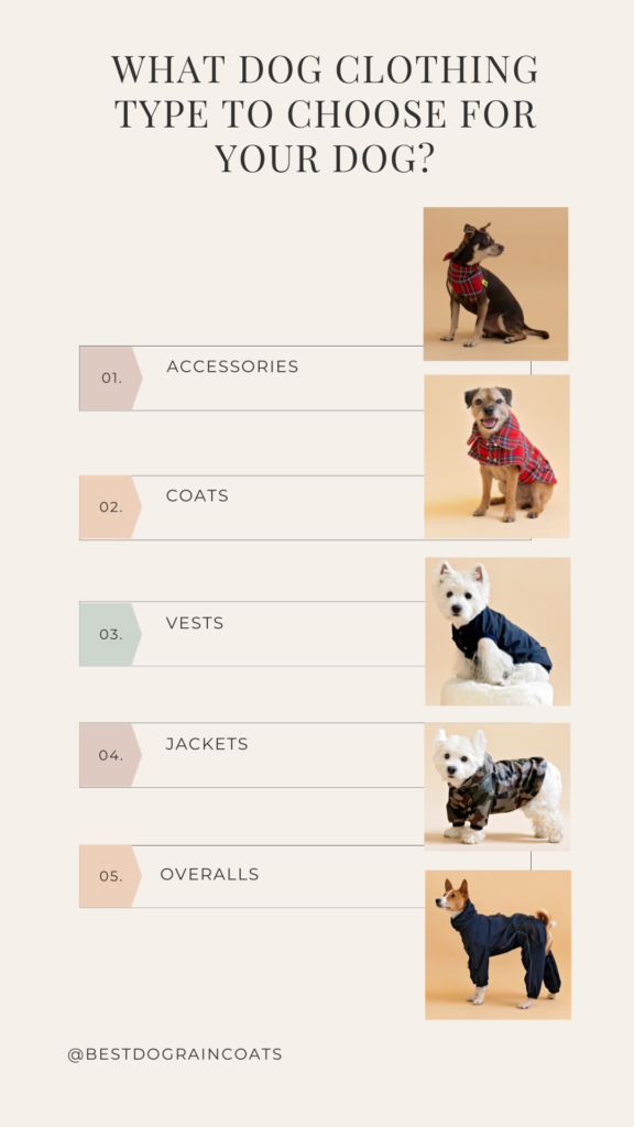 Various dogs in various dog outfits stating different body coverage