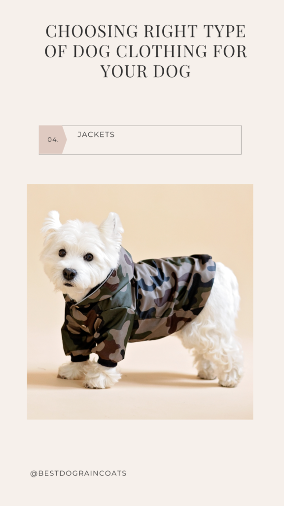 westie in camouflage jaket