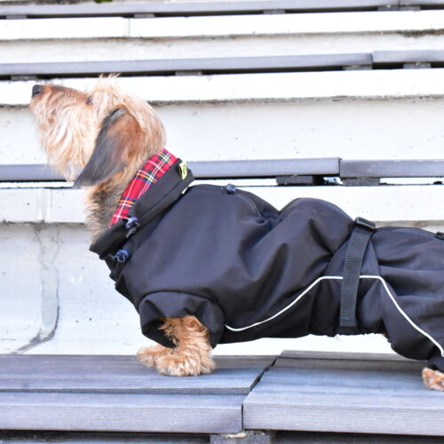 Waterproof Overall Dachshund Clothes for Winter