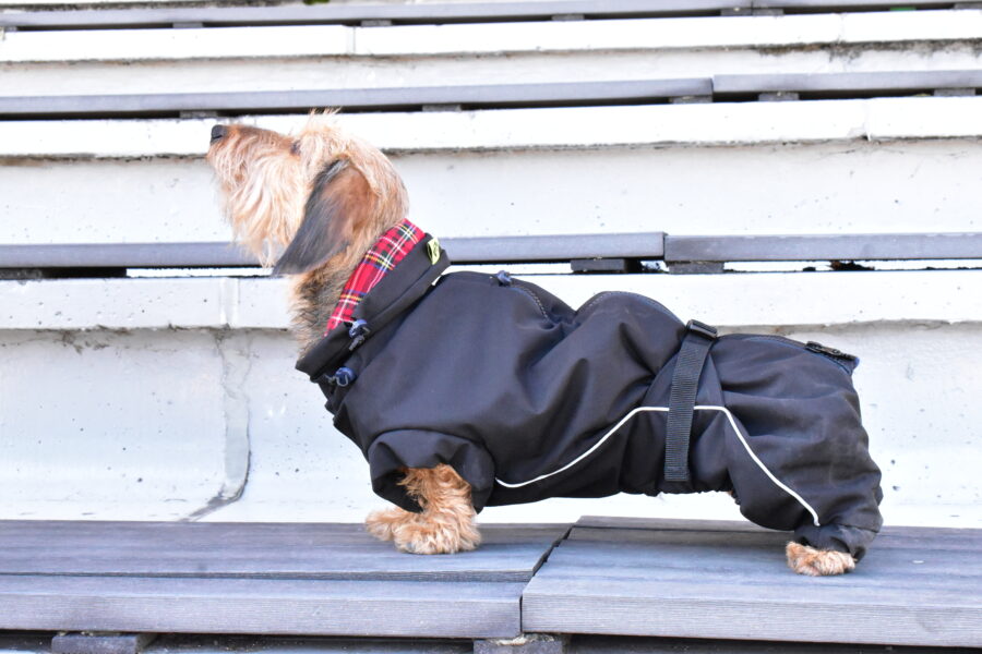 Waterproof Overall Dachshund Clothes for Winter