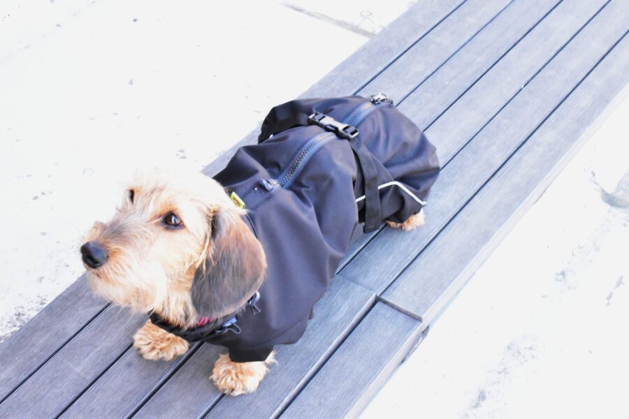 Waterproof Overall Dachshund Clothes for Winter - Image 4