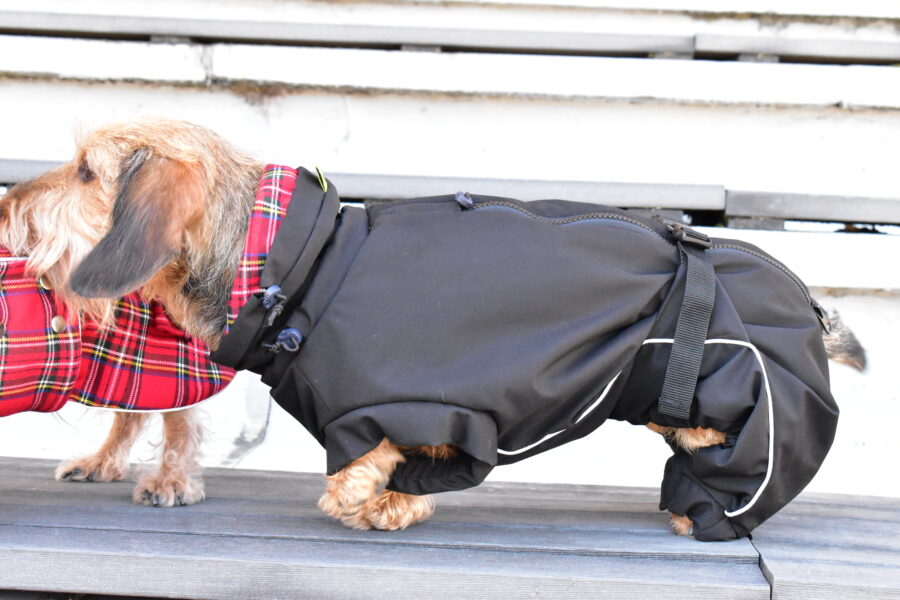 Waterproof Overall Dachshund Clothes for Winter - Image 5