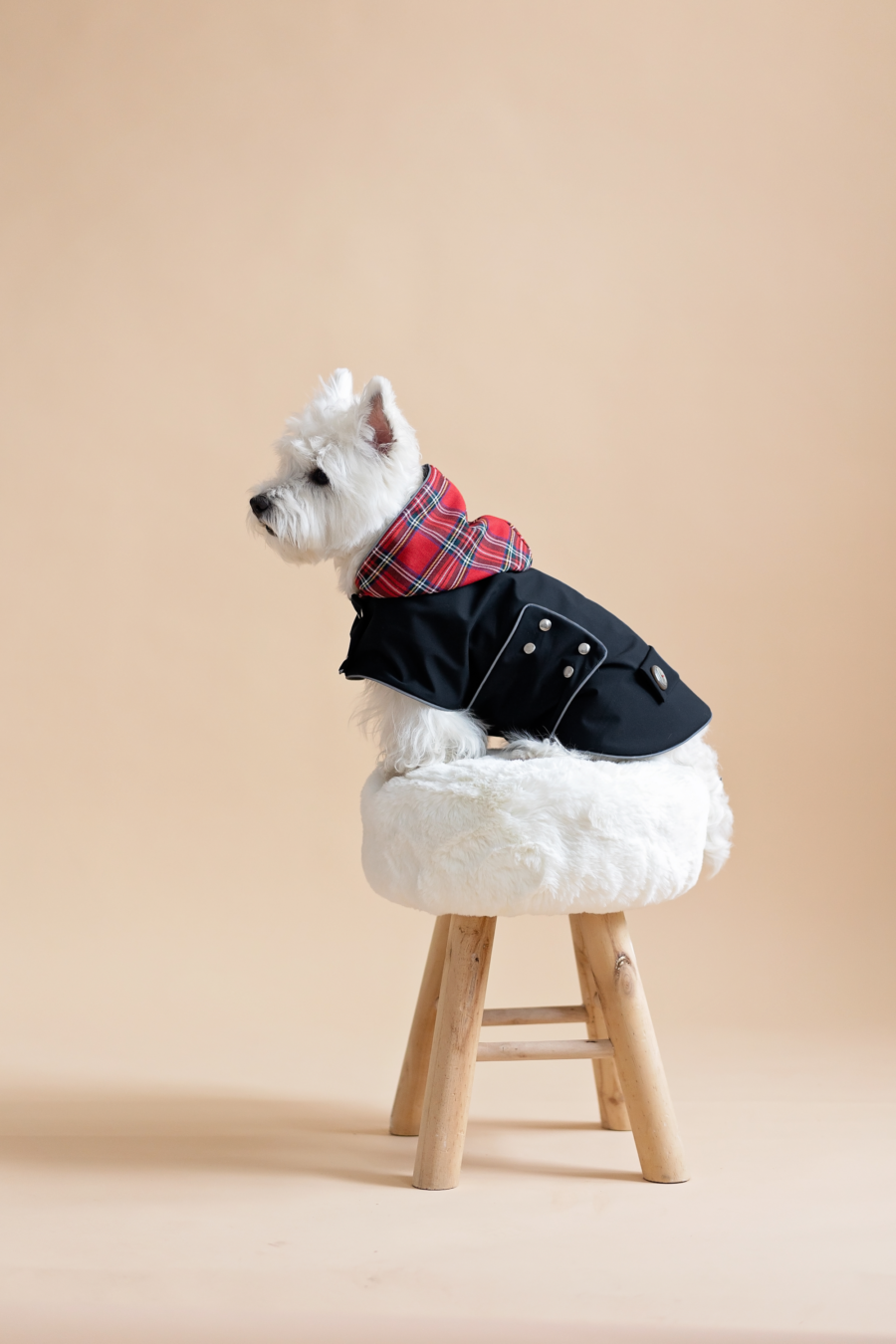 White dog sitting on fur chair wearing Waterproo-f Dog Coat-Dress With Plaid Hood or Collar CiuCiu Bestdograincoats