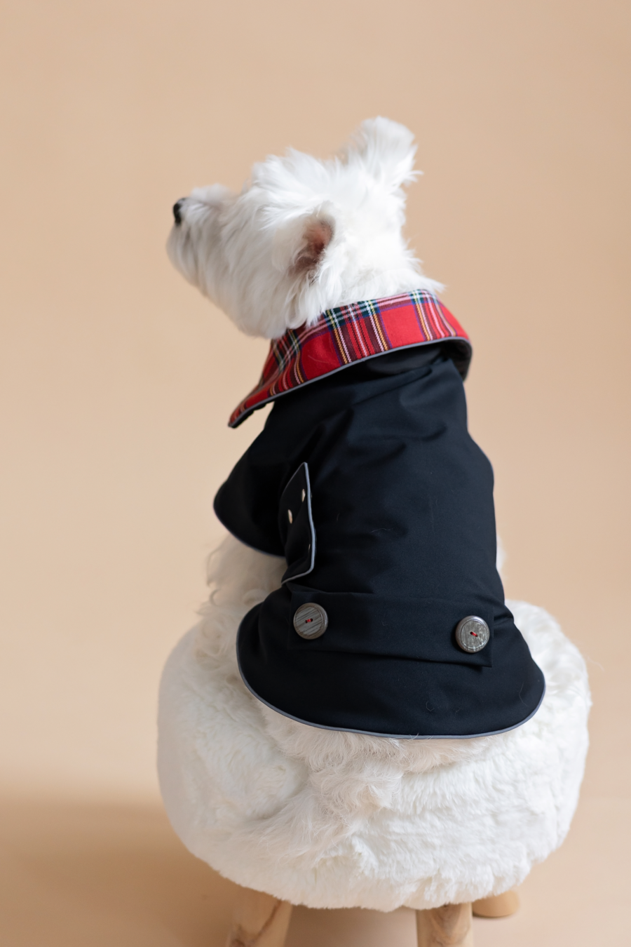 White dog sitting on fur chair wearing Waterproo-f Dog Coat-Dress With Plaid Hood or Collar CiuCiu Bestdograincoats