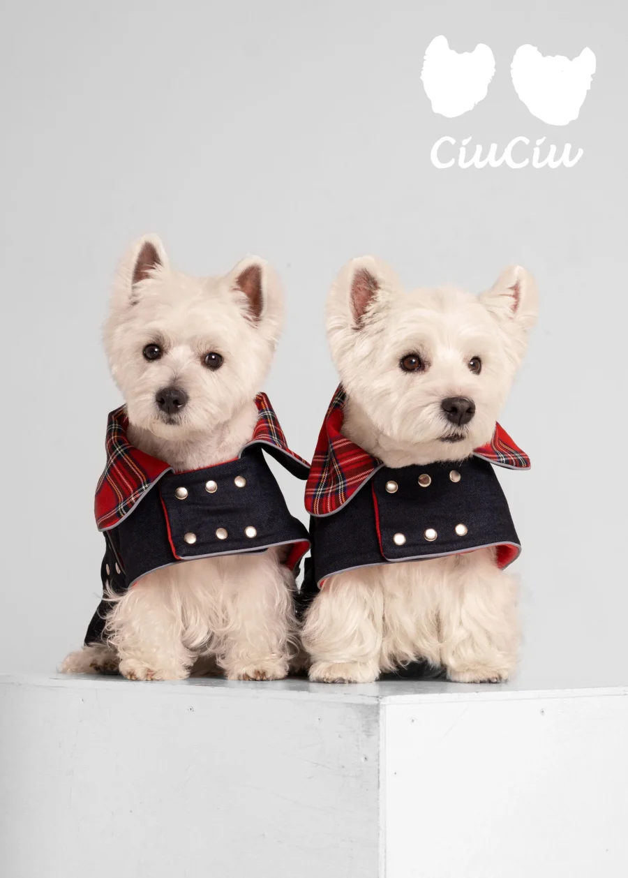 two Westies sitting in beige background, wearing red plaid royal stewart jeans coat. ciuciu bestdograincoats