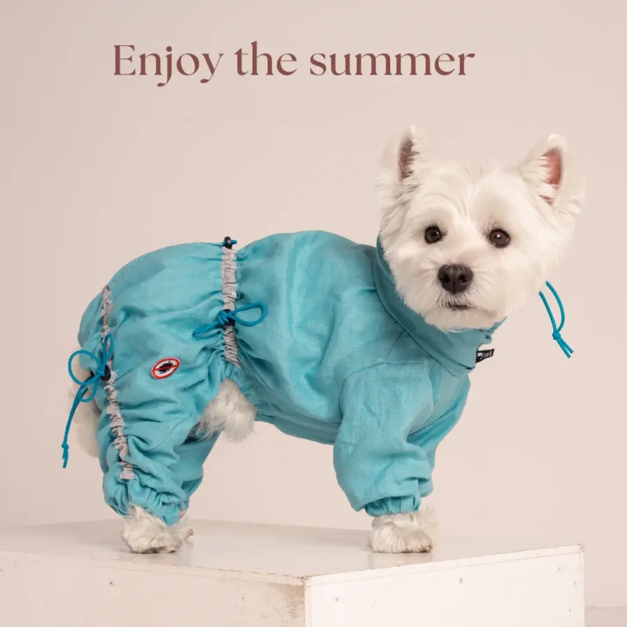 westie in turquous linen overall as protection from ticks