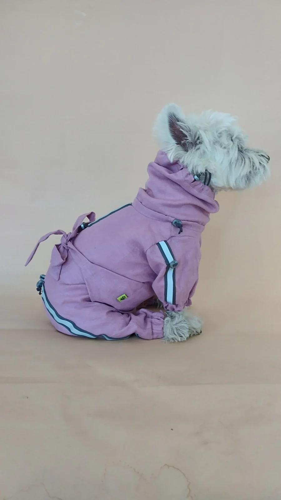 westie in linen overall as protection from ticks