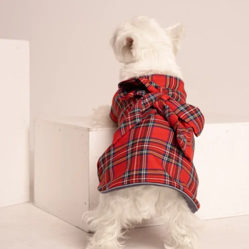 White dog westie standing backwards in a scottish dog plaid coat dress with a bow