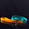Biothane leash in two collor in black background