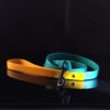 Biothane leash in two collor in black background