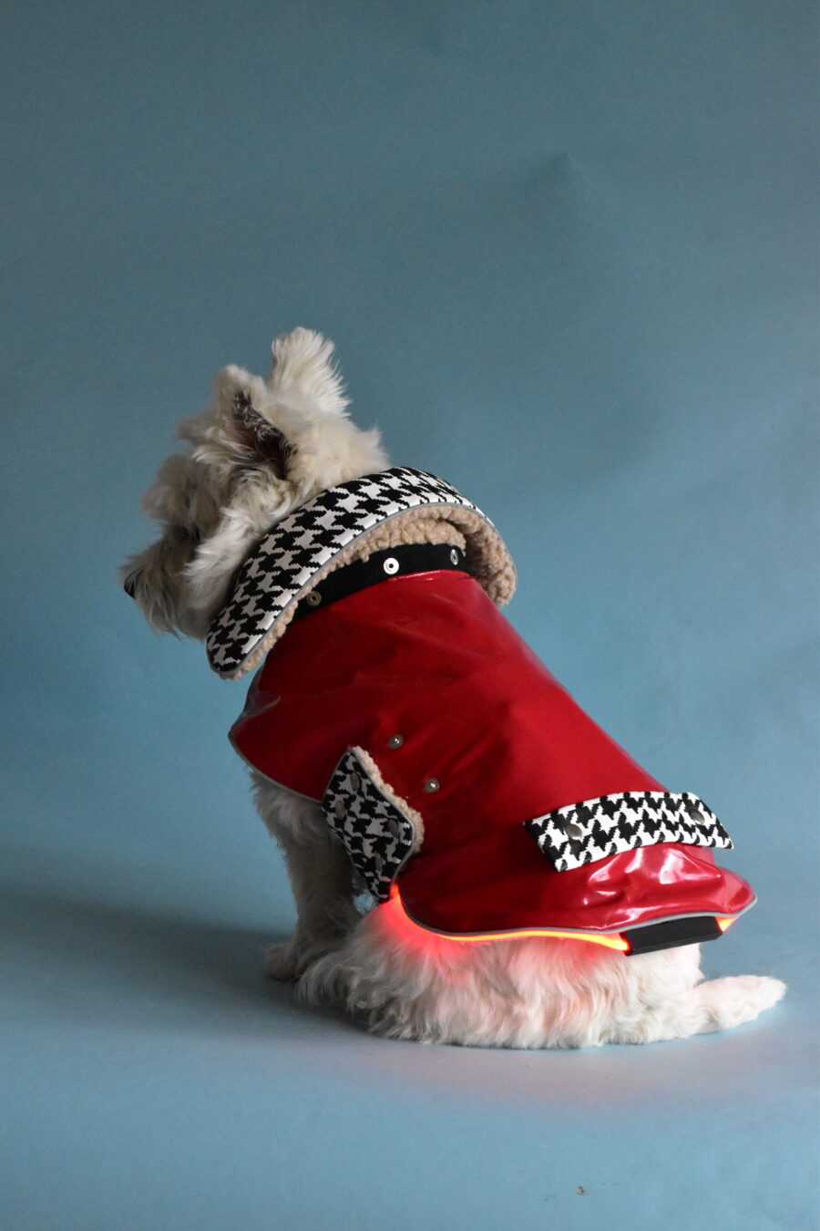 LED-dog-coat-with-changeble-details-ciuciu-bestdograincoats