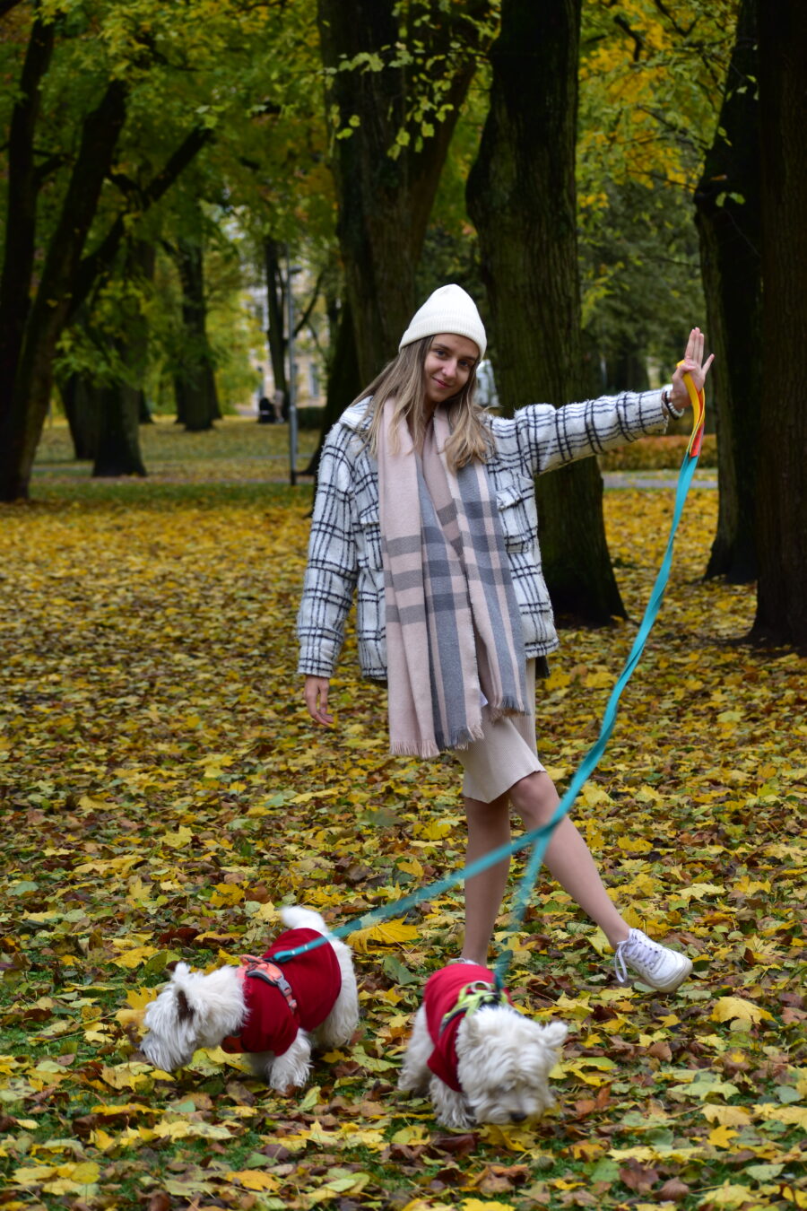 autumn colors, girl with hat and plaid coat with two westies and dog biothane leashes from bestdograincoats.com