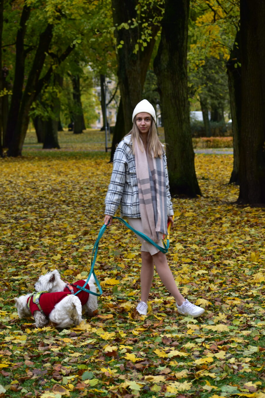 autumn colors, girl with hat and plaid coat with two westies and dog biothane leashes from bestdograincoats.com