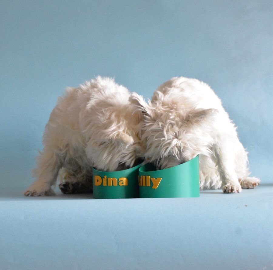 biodegradable-dog-bowl-BestDogRaincoats