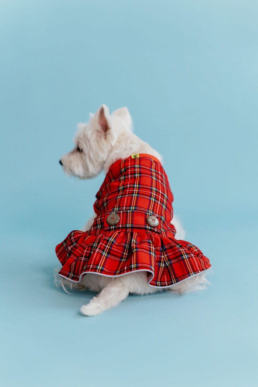 plaid-dog-dress-bestdograincoats-westie-custom-clothes