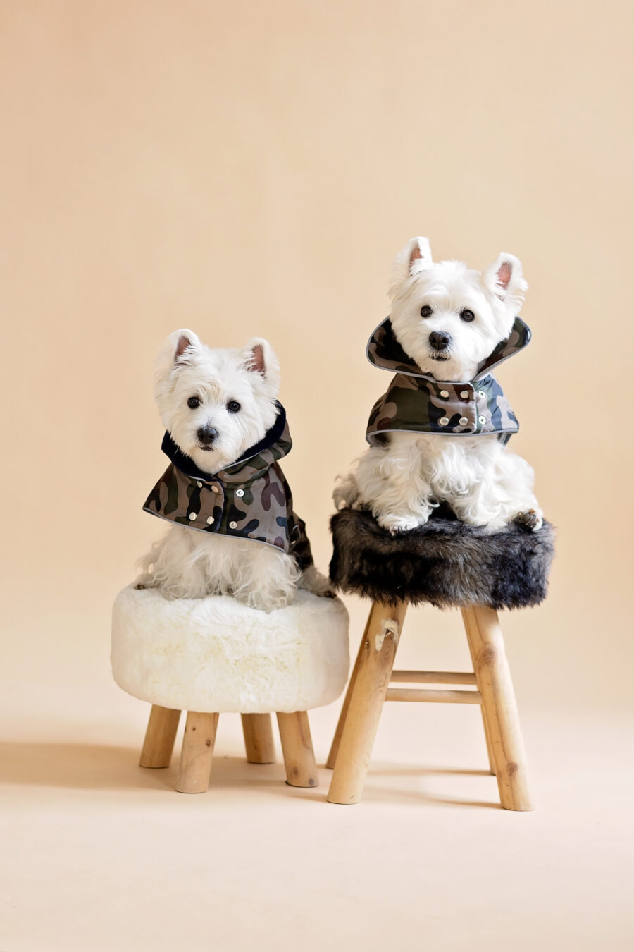 camouflage-dog-coat-for-small-dog-ciuciu-bestdograincoats two westies sitting on a fur chair