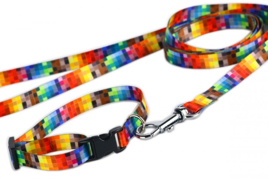 Colorful Adjustable Leash for Your Small Dog