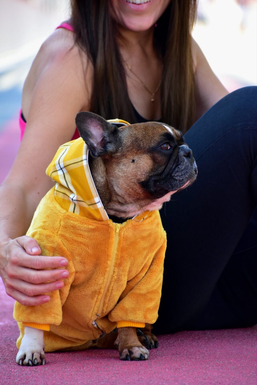 Cozy Faux Fur Plaid Yellow Dog Hoodie for Frenchie