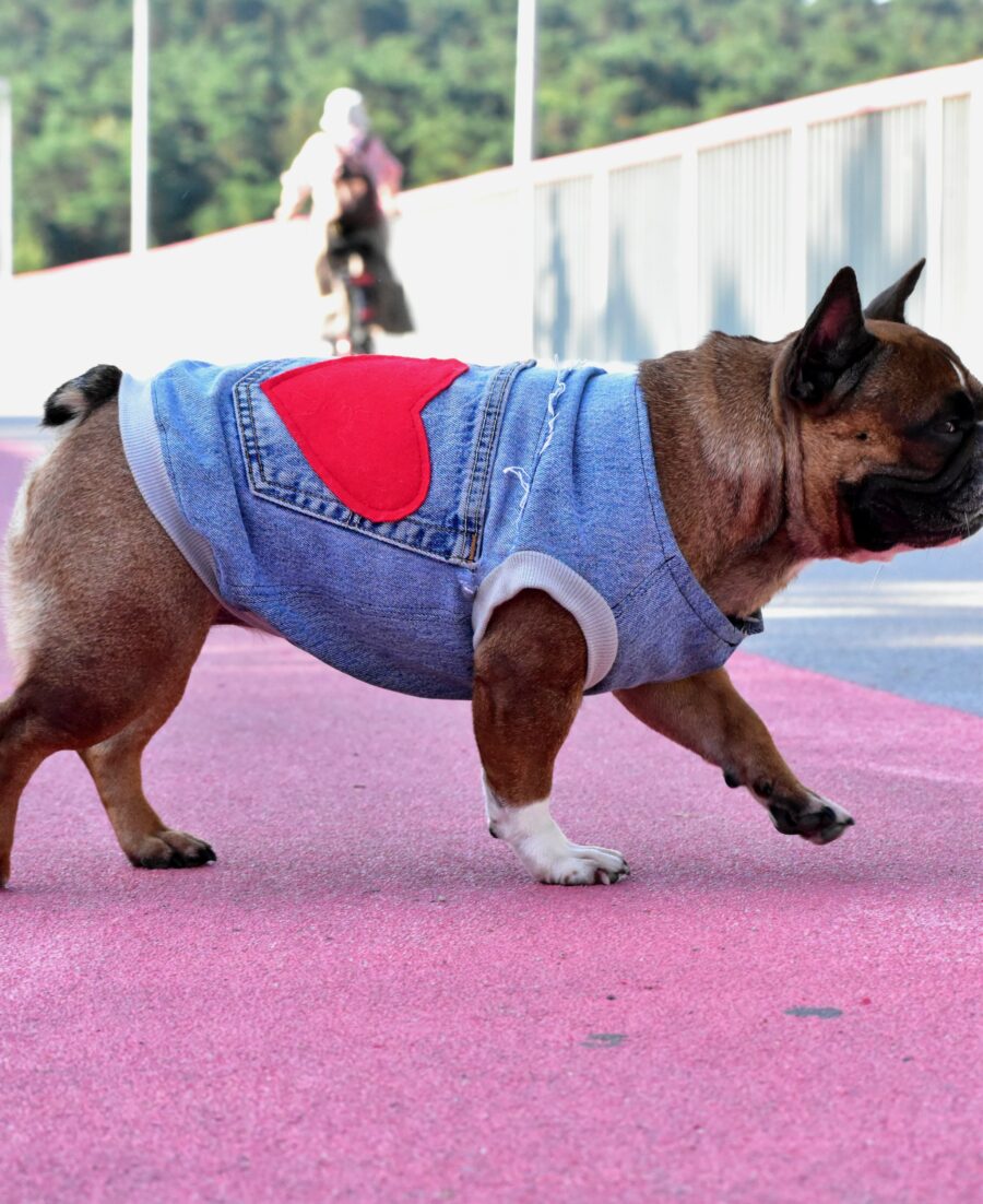Recycled Jeans Frenchie Vest - Love - Image 8